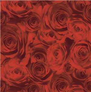 Ursus SCRAPB.PAPER TRANSP.12"x12",5BL.ROSEN ROT