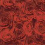 Ursus SCRAPB.PAPER TRANSP.12"x12",5BL.ROSEN ROT