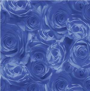 Ursus SCRAPB.PAPER TRANSP.12"x12",5BL.ROSEN D.BLAU