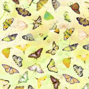 Ursus SCRAPB.PAPER TRANSP.12"x12",5BL.SCHMETTERL.GE