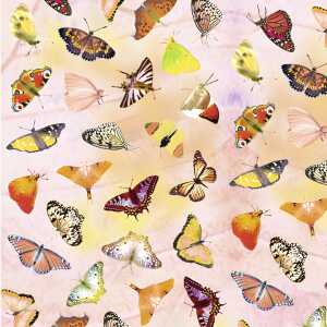 Ursus SCRAPB.PAPER TRANSP.12"x12",5BL.SCHMETTERL.RO