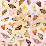 Ursus SCRAPB.PAPER...