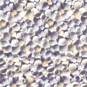 Ursus SCRAPB.PAPER TRANSP.12"x12",5BL.MARITIM MUSCH