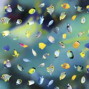 Ursus SCRAPB.PAPER TRANSP.12"x12",5BL.MARITIM FISCH