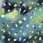 Ursus SCRAPB.PAPER TRANSP.12"x12",5BL.MARITIM...