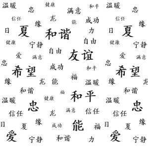 Ursus SCRAPB.PAPER TRANSP.12"x12",5BL.ASIA WEISS