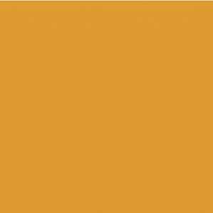 Ursus SCRAPB.PAPER TRANSP.12"x12",5BL.UNI ORANGE