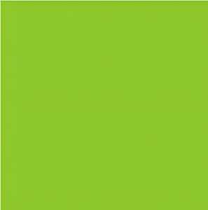 Ursus SCRAPB.PAPER TRANSP.12"x12",5BL.UNI GRASGRÜN