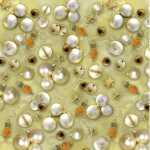 Ursus SCRAPB.PAPER...