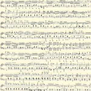 Ursus SCRAPB.PAPER FOTOKTN.12"x12",5BL.NOTEN SCHWA