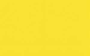 Ursus FK-SCHULTÜTEN 41CM HOCH,10ST.SONNENGELB