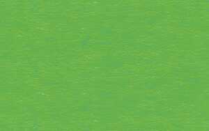 Ursus FK-SCHULTÜTEN 41CM HOCH,10ST.GRASGRÜN