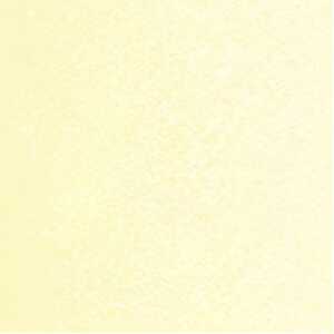 Ursus SCRAPB.PAPER STARLIGHT 12"x12",5BL.CHAMOIS