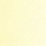 Ursus SCRAPB.PAPER STARLIGHT 12"x12",5BL.CHAMOIS