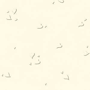 Ursus SCRAPB.PAPER ELEGANCE 12"x12",5BL.HERZEN ELFE