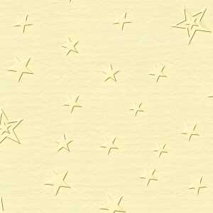 Ursus SCRAPB.PAPER ELEGANCE 12"x12",5BL.STERNE CHAM