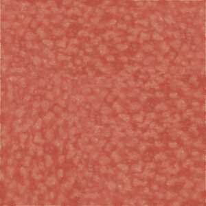 Ursus SCRAPB.PAPER PLEASURE 12"x12",5BL.RUBINROT