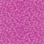 Ursus SCRAPB.PAPER PLEASURE 12"x12",5BL.EOSIN