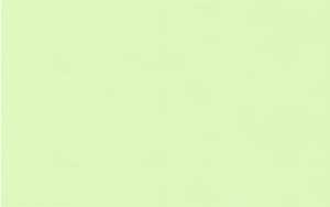 Ursus PASSEPARTOUTK./UMSCHL.DIN A6,OVAL,5P.HELLGRÜN