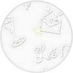 Ursus TRANSP.PAPIER "WHITE LINE GLITTER"180G.A4,5BL. 4008525730392