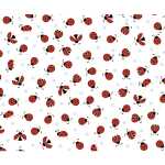 Ursus TRANSP.PAPIER...