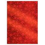 Ursus HOLOGRAMMFOLIE"STERNE"100MY,23x33CM,SORT