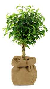 Ursus VEGATEX "EFFEKT" 0,55MM STARK,100X150CM,SAHAR