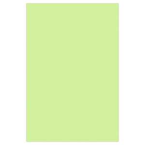 Ursus MOOSGUMMI 2MM,20x30CM,10BG.HELLGRÜN