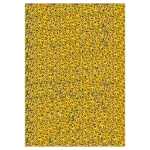 Ursus HOLOGRAMMF.23x33CM,5BL.5F.SORTIERT