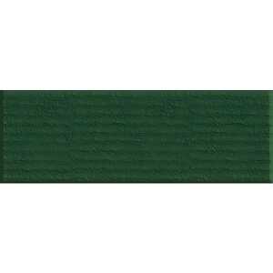 Ursus DOPPELKARTE 220G.DIN A5,DUNKELGRÜN