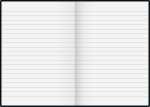 BRUNNEN 104398104 Notizbuch Metallic A5 liniert