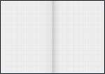 BRUNNEN 104399204 Notizbuch Metallic A4 kariert