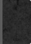 Brunnen Notizbuch Premium Kladde A6 unliniert sw 4061947035414