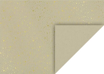 HEYDA 204771846 Naturkarton Herzen 50 x 70 cm goldfarben