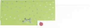 Geschenkkarte 11x23cm Lia gn 7630050802724