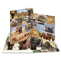 Herma SAMMELMAPPE A3 KARTON ANIMALS AFRIKA