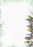 Weihnachts-Motiv-Papier Tannenzapfen grün/weiß...