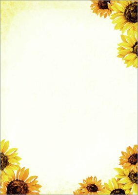 SIGEL DP129 Motiv-Papier - Sonnenblumen - gelb - 90 g/m² - A4 - 50 Blatt