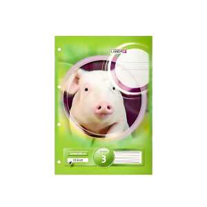 Arbeitsblock A4, 50 Blatt, 80 g/m², 4fach gelocht, Lineatur 3 mit Rand