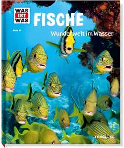 Was ist was 41 Fische Wunderwelt im Wasser - ab 8 Jahren