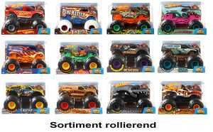 Hot Wheels Monster Trucks Die Cast Sortiment 1:24