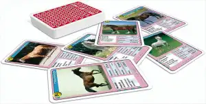 ASS SPIELKARTEN Quartett Pferde