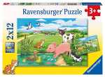 Puzzle 2x12 Teile Bauernhof - Tierkinder auf dem Land -...