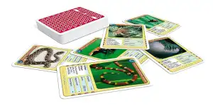 ASS SPIELKARTEN Quartett Giftige Tiere