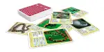 ASS SPIELKARTEN Quartett Giftige Tiere