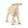 Schleich Farm World Lamm 4059433025582