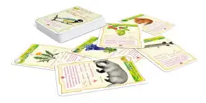 Natur Bingo - Abenteuer Schule