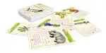 Natur Bingo - Abenteuer Schule