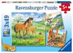 Ravensburger Puzzle 3x49 Teile Kuschelzeit - ab 5 Jahren