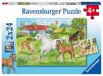 Ravensburger Puzzle 2x24 Teile Pferde - Auf dem Pferdehof...